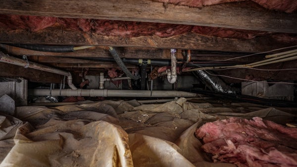 Mold in crawl space with wet insulation