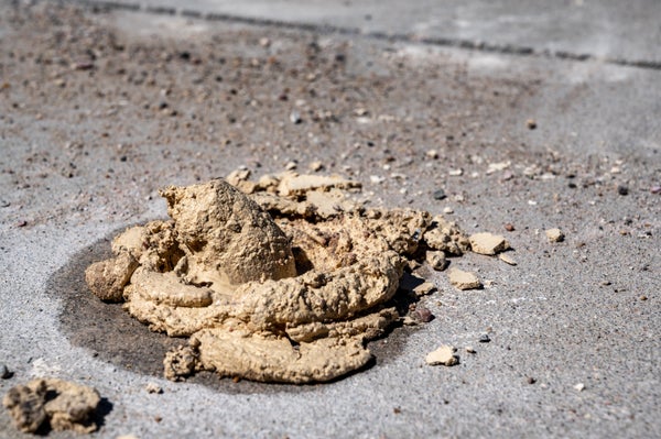 mudjacking concrete lifting slurry on a concrete slab