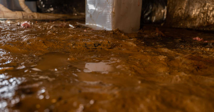 crawl space flooding