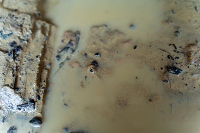 Muddy water.