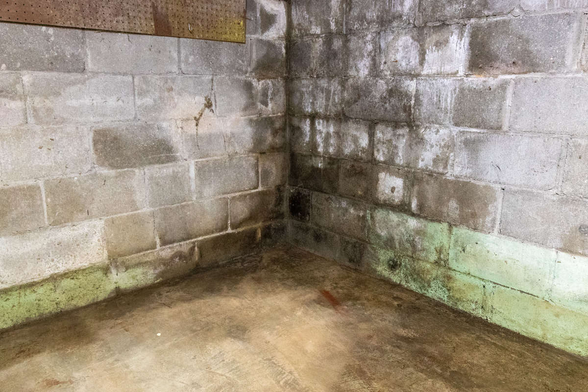 efflorescence on basement walls