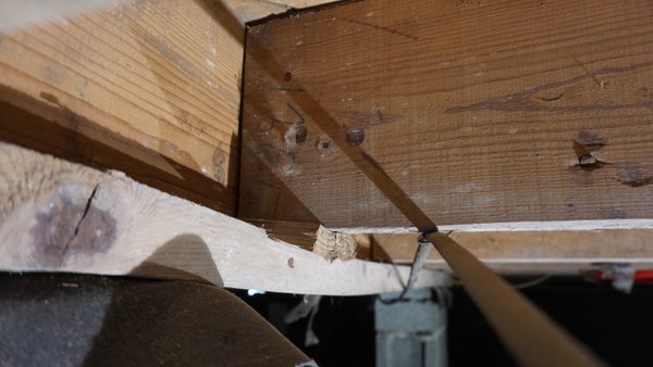 damaged crawl space floor joist