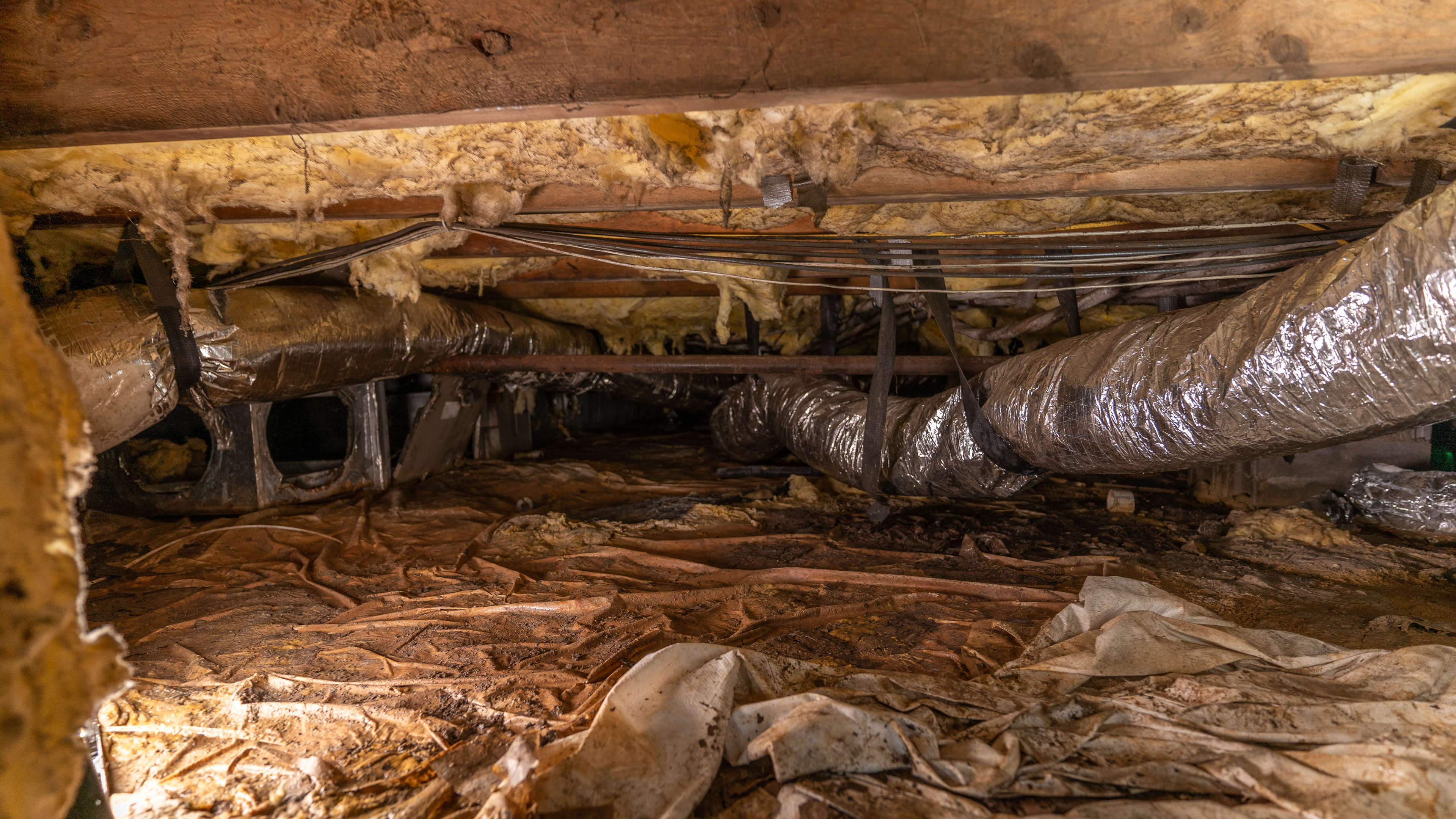 Wet and musty crawl space