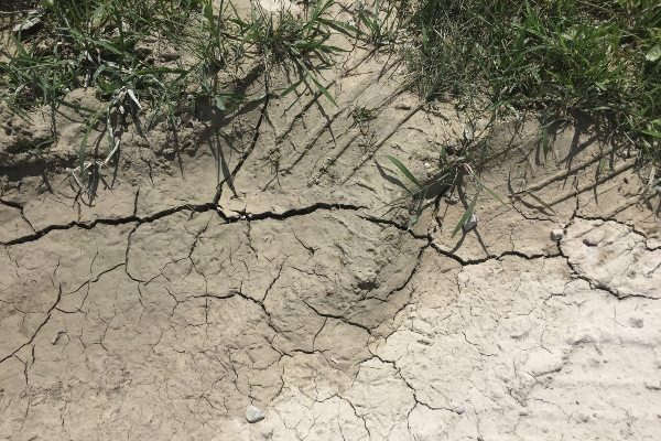dry, cracked soil during drought