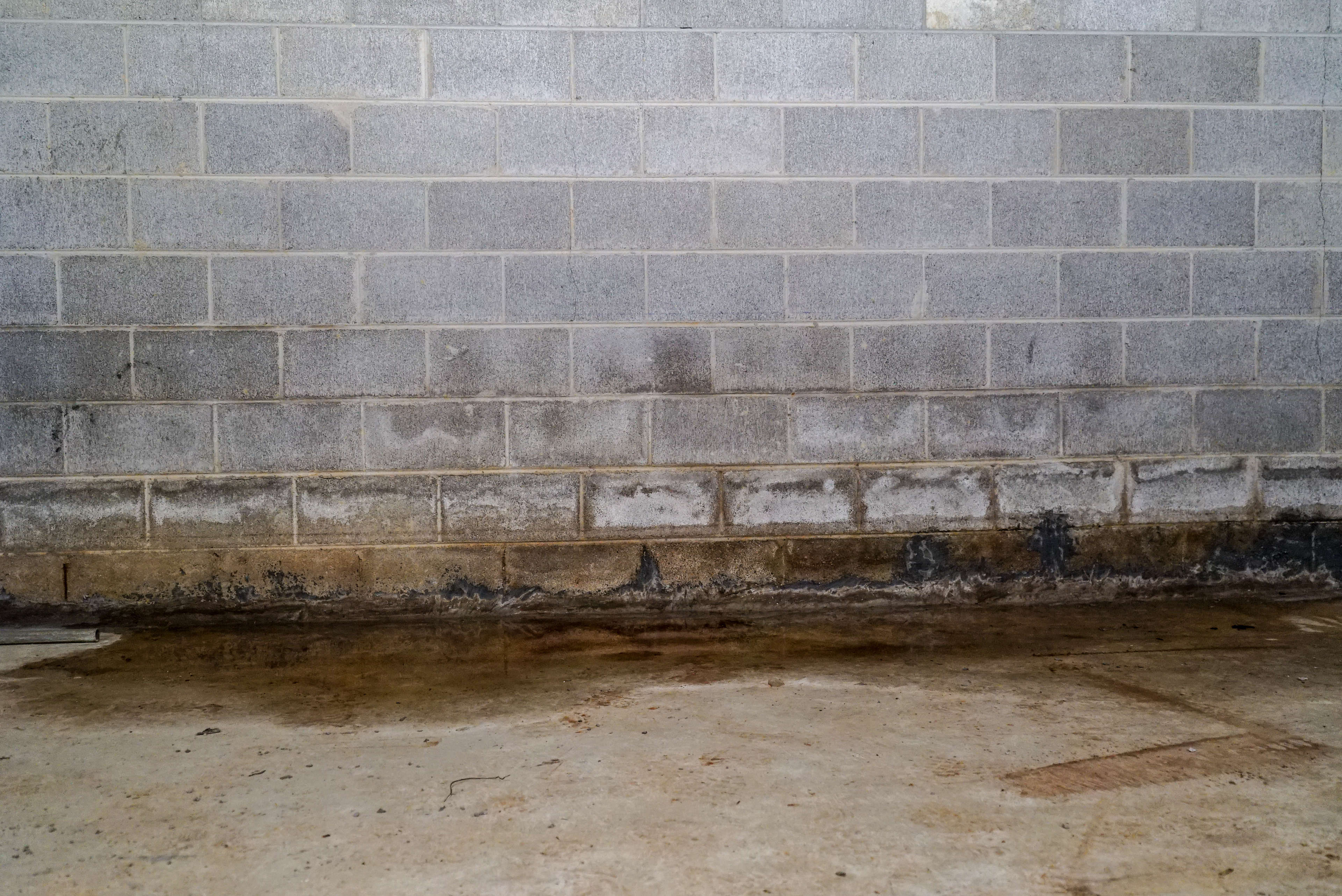 water damage and efflorescence