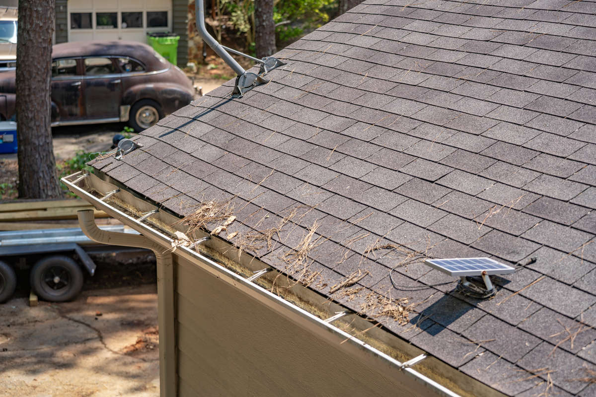 clogged gutters