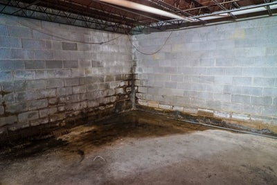 flooded basement corner with mold growth on walls