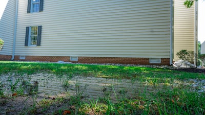 flooded yard