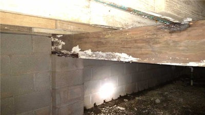 moldy crawl space