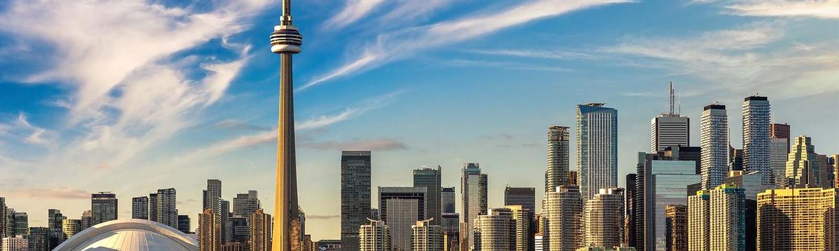 Toronto Works Reviews - Groundworks