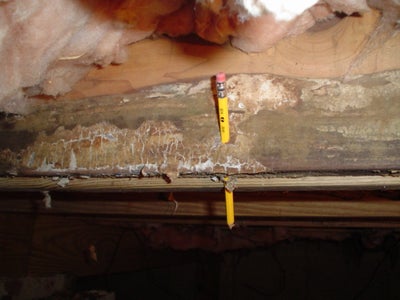 pencil going through a rotten beam in a crawl space