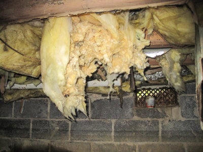 Wet crawlspace with insulation falling and dirty vapor barrier.