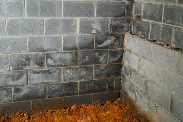 basement wall efflorescence
