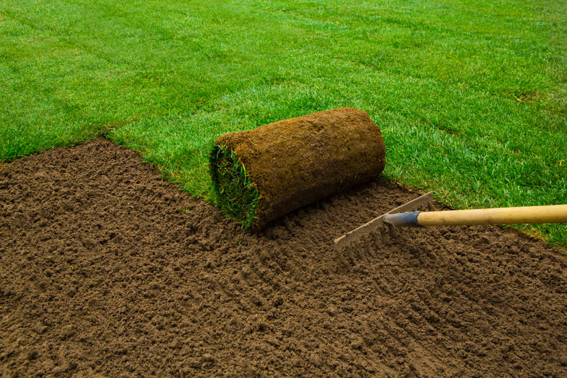 yard grading with grass soil rake