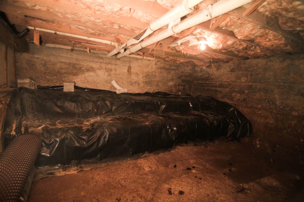 dirty wet crawl space
