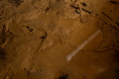 Wet soil in a crawl space.