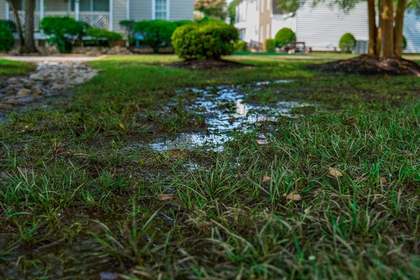water pooling in yard near house