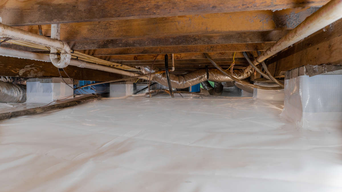 crawl space with wooden floor joists