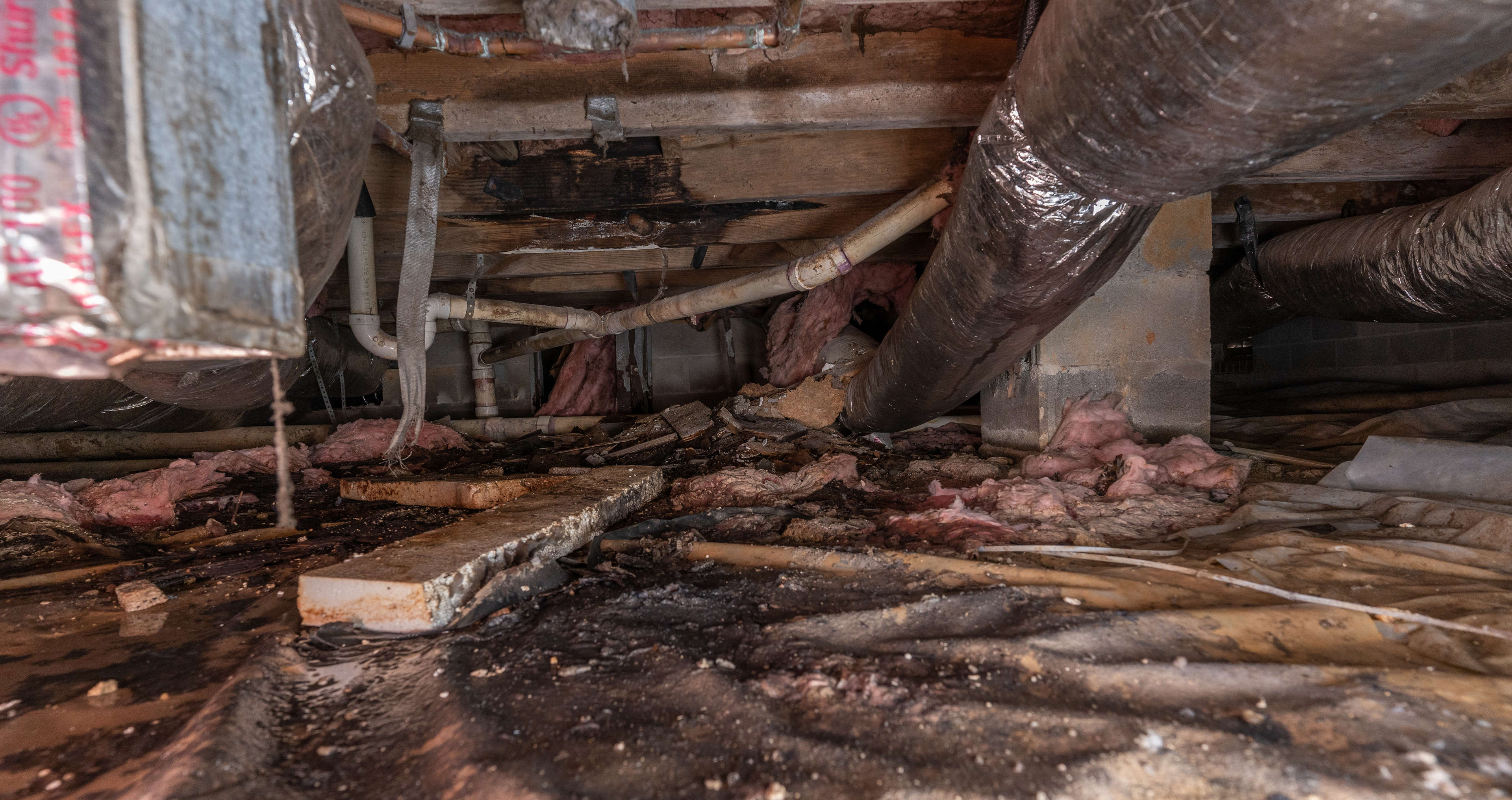 Damp, damaged crawl space