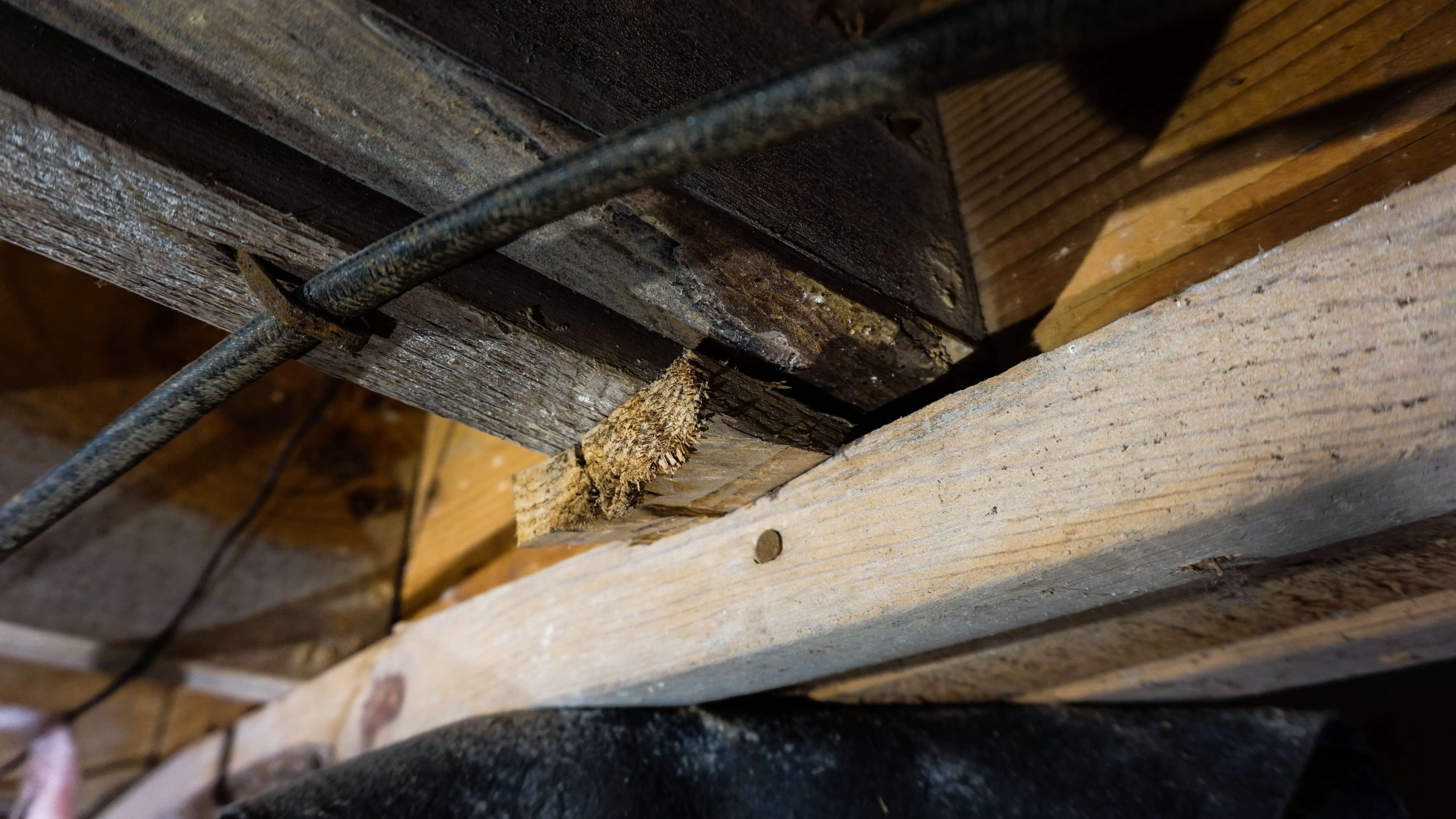 damaged wooden floor joists in a crawl space