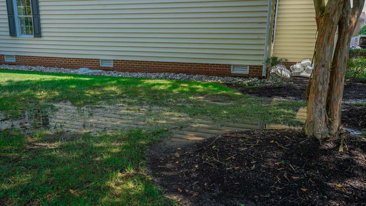 Water saturating a patch of grass.
