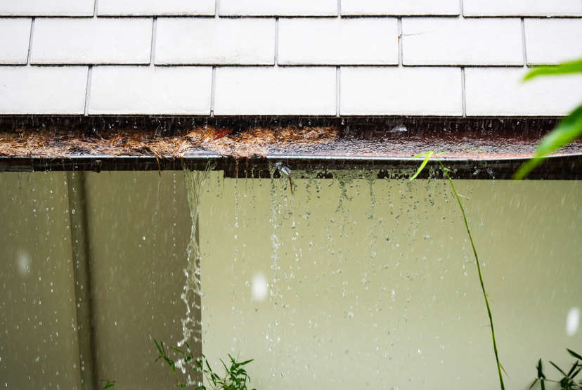 Clogged, overflowing, gutters