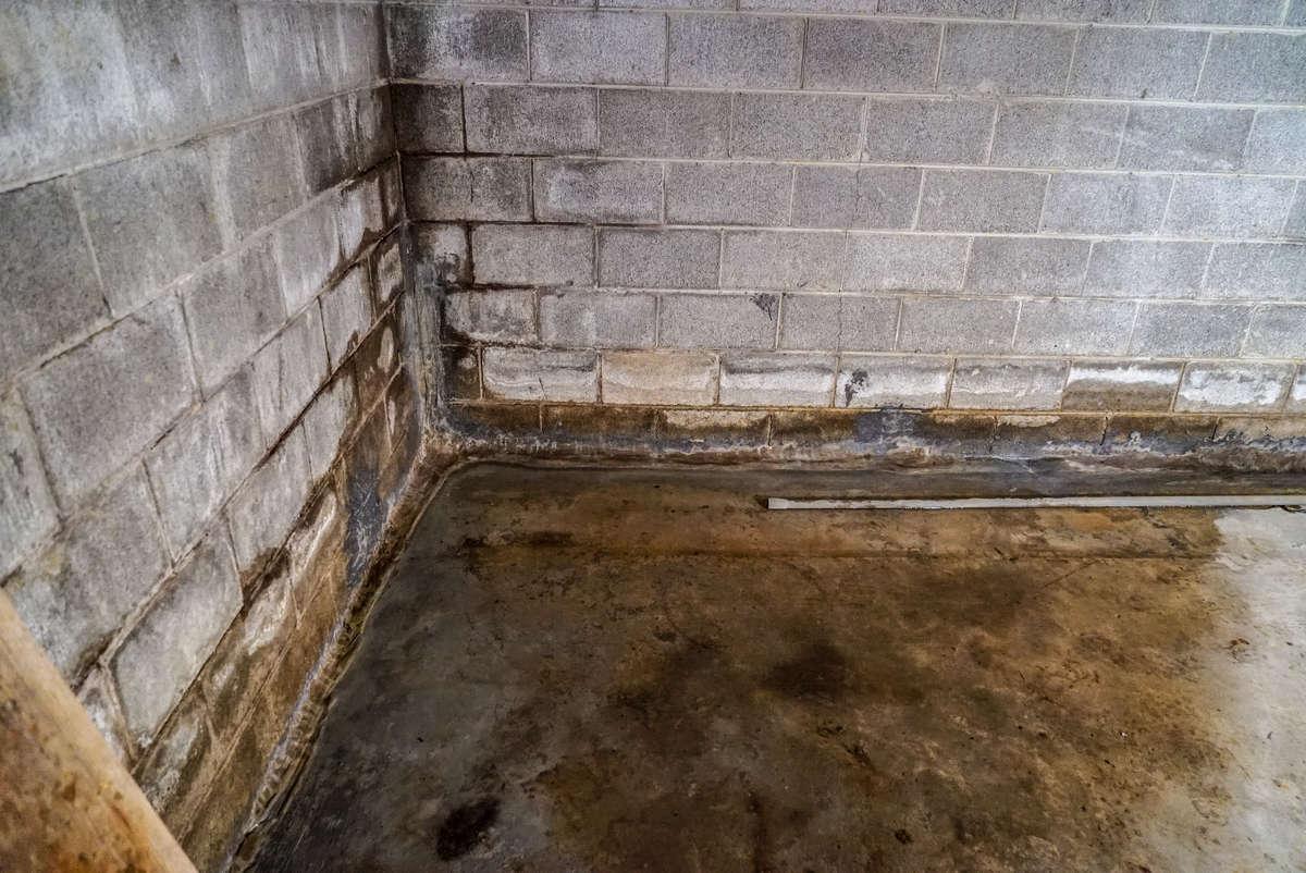 basement leaking from corner