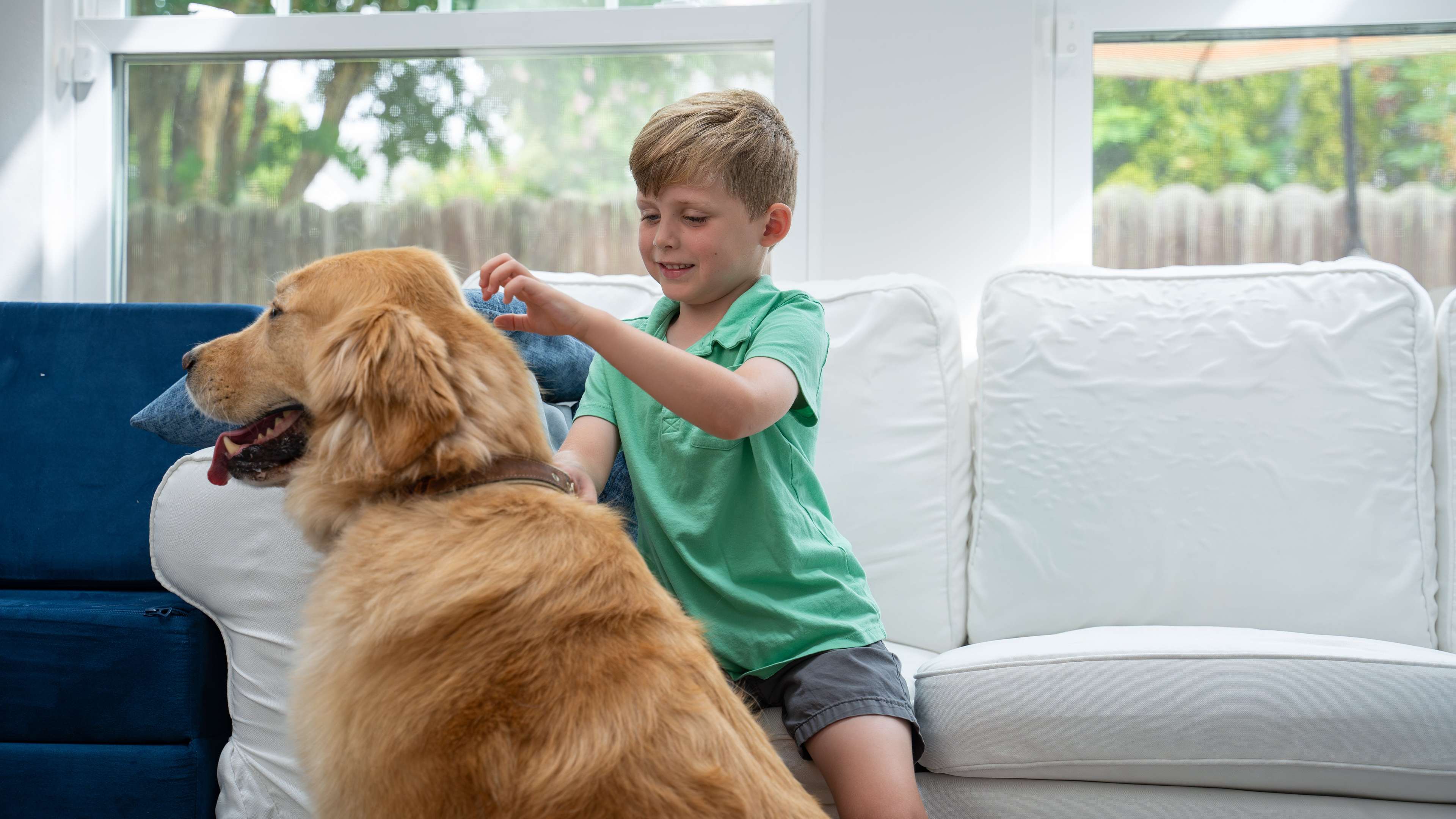 <p>Improve Indoor Air Quality</p>

