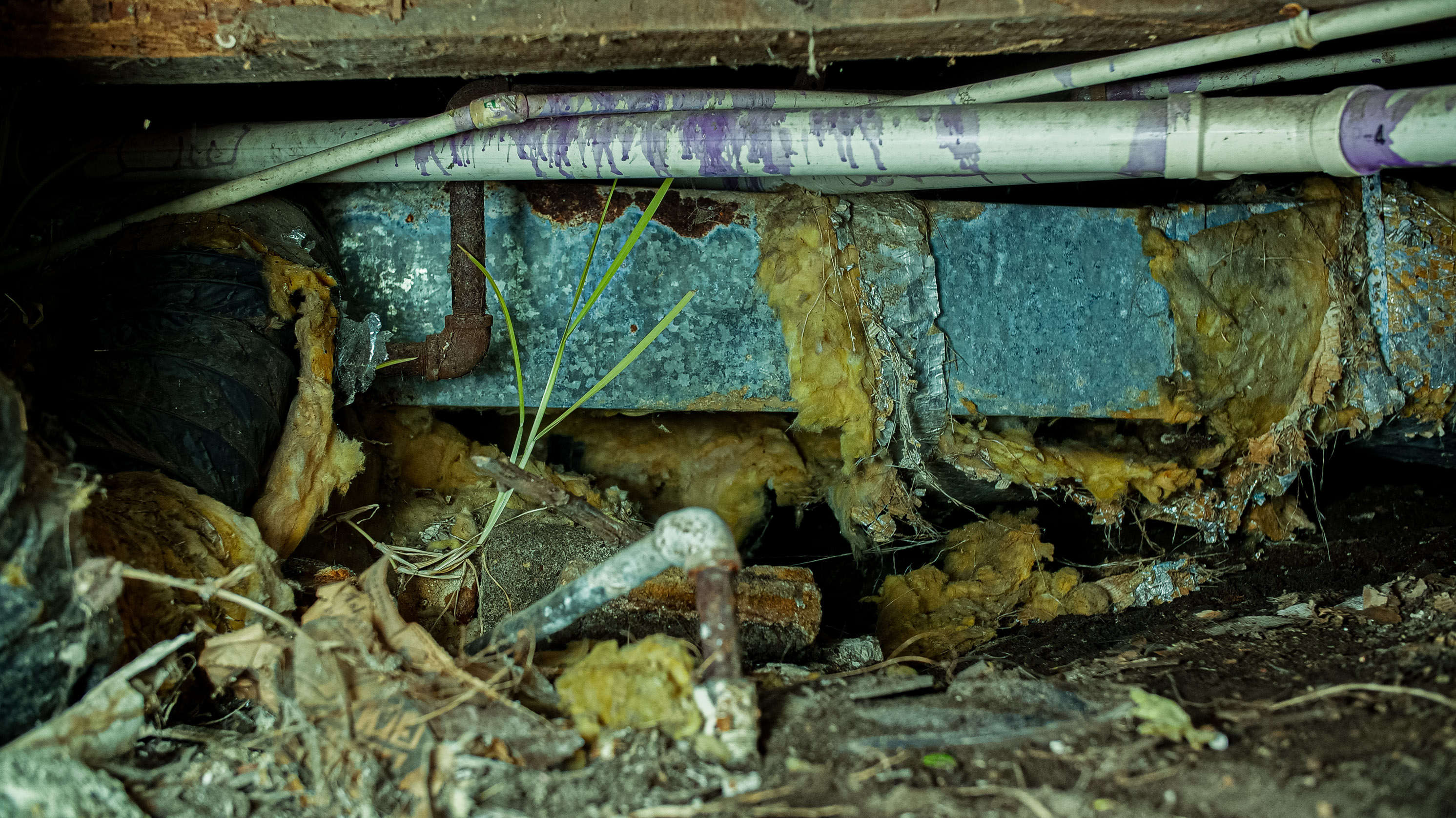 Water damage and must in crawl space