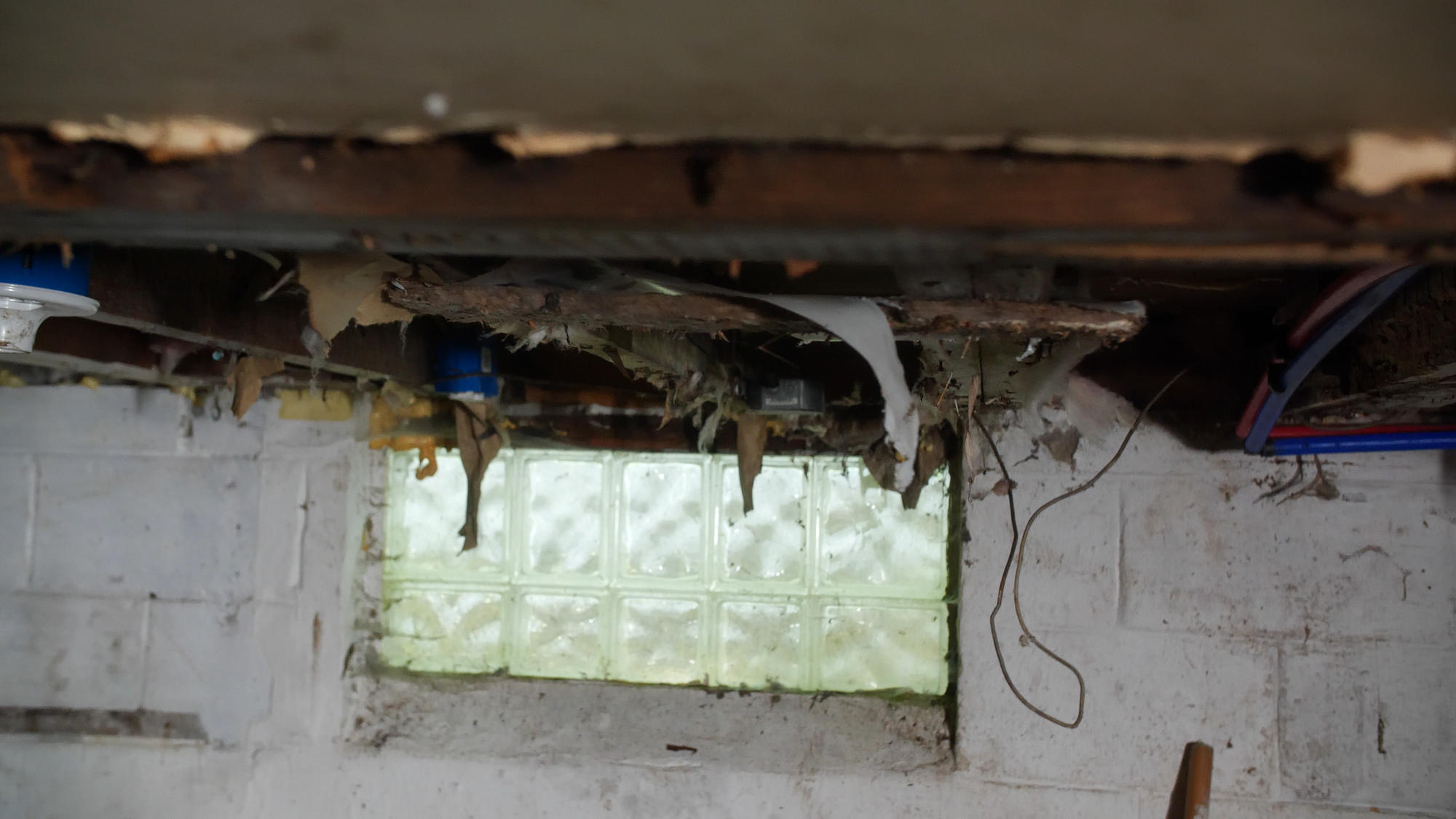 musty basement with torn insulation near window