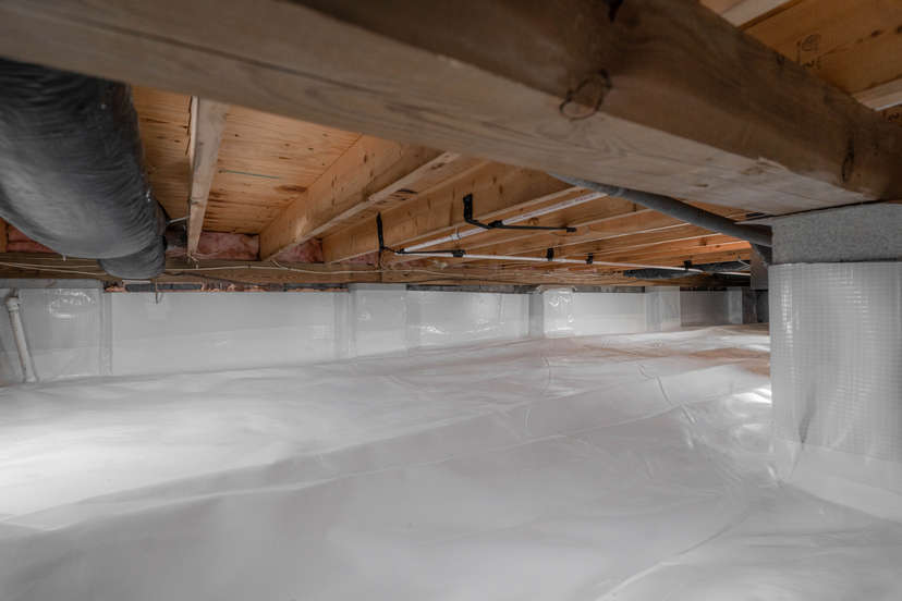 Clean, encapsulated crawl space.