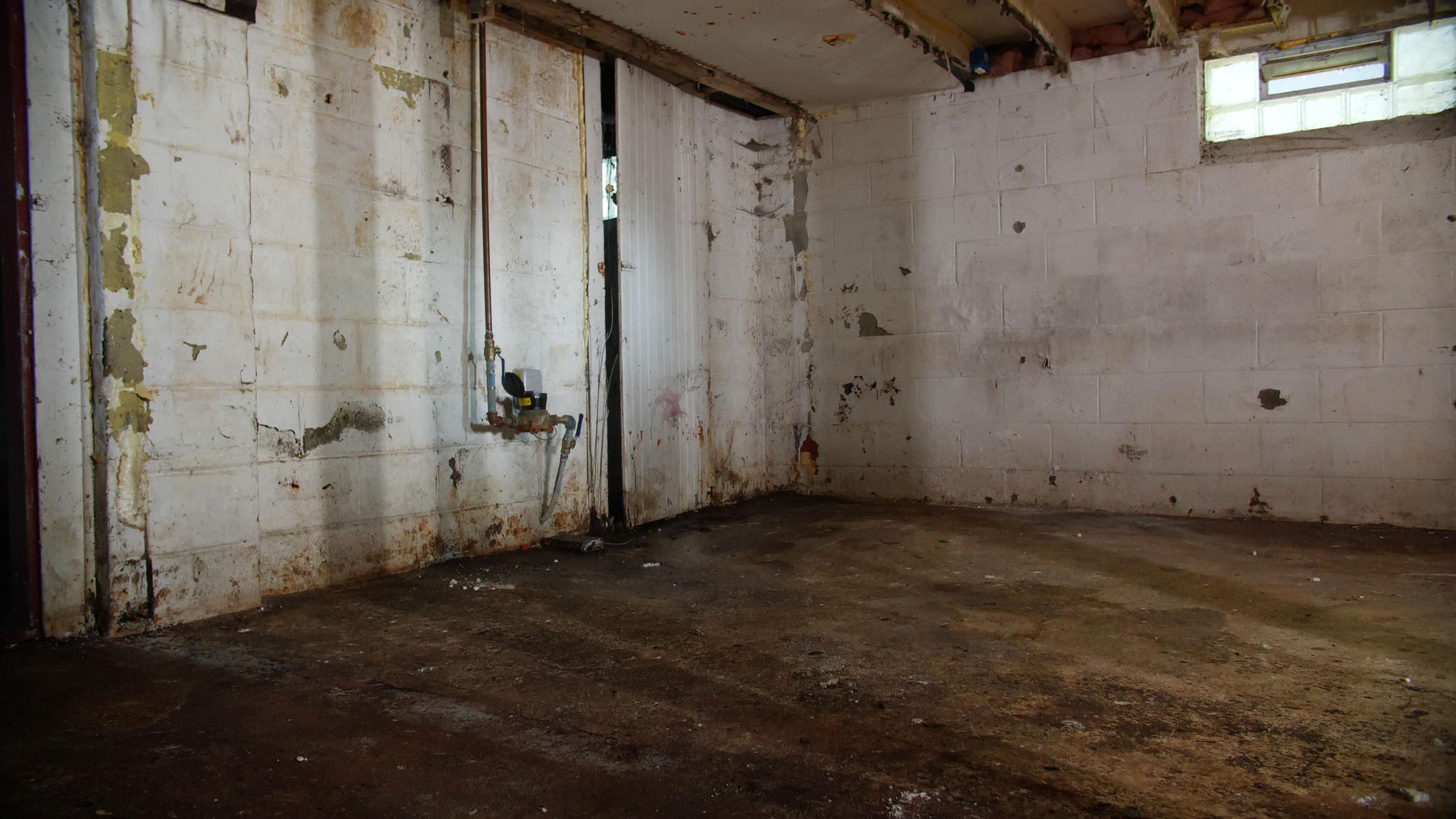 moldy musty basement