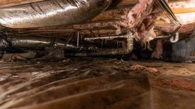 wet crawl space with mold and bad insulation