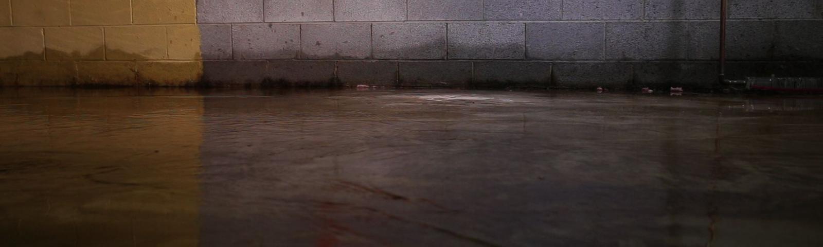 flooded basement