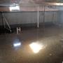 Interior of flooded basement with sun