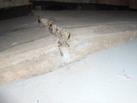 heaving slab foundation