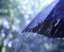 Close-up of a black umbrella in heavy rain, with water droplets visible on its surface. Blurred greenery in the background.