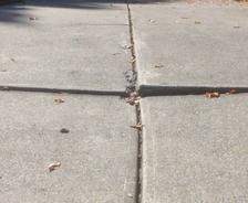 Cracked concrete pavement with a visible gap and scattered dry leaves.