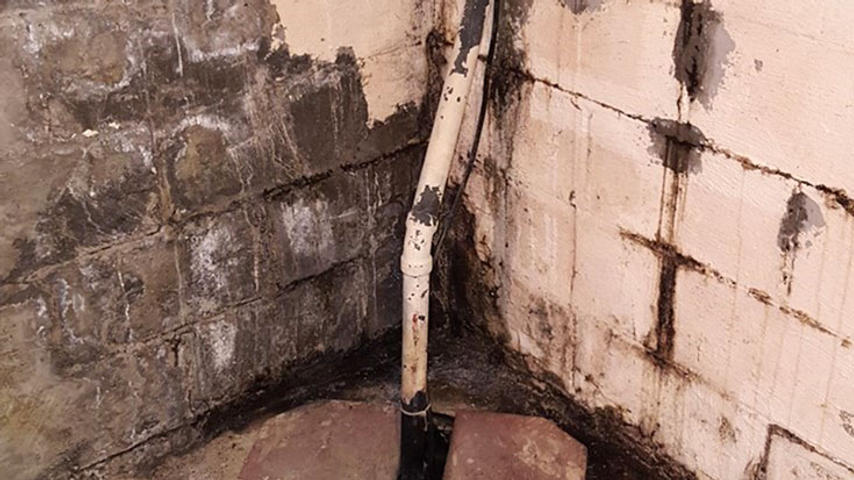 Wet and moldy cinderblock wall and pipe in the basement.