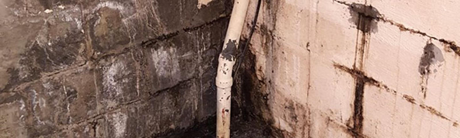Wet and moldy cinderblock wall and pipe in the basement.