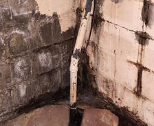 Wet and moldy cinderblock wall and pipe in the basement.