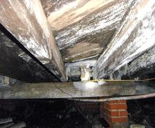 Efflorescence and mold on wood beams in crawlspace.