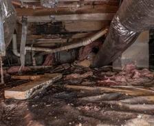 Dirty crawlspace with falling insulation.