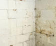 Mold and cracks on the cinderblock interior basement corner wall.