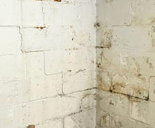 Mold and cracks on the cinderblock interior basement corner wall.