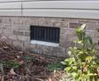 Roots and plants surround the crawlspace exterior vent.