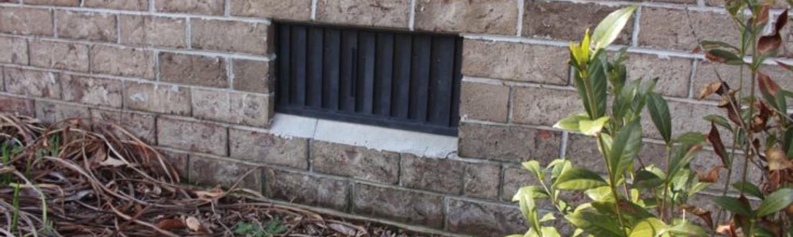 Roots and plants surround the crawlspace exterior vent.