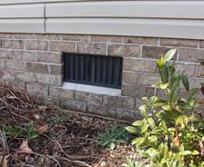 Roots and plants surround the crawlspace exterior vent.