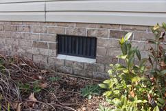 Roots and plants surround the crawlspace exterior vent.