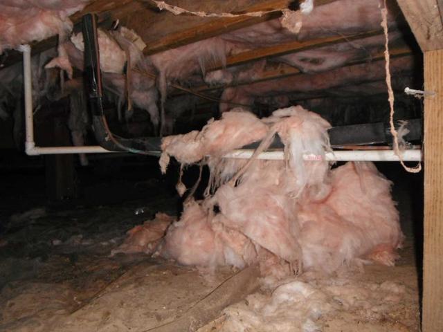 Falling and dirty insulation in the crawlspace.